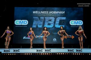 WELLNESS НОВИЧКИ